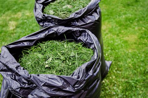 Cutting Edge Gardening The Pros And Cons Of Using Grass Clippings As Mulch