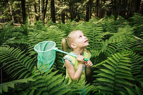 Girl With Butterfly Net Chasing Butterflies Net In Fern Forest Alone