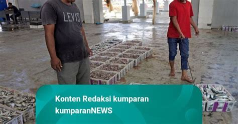 Foto Tempat Pelelangan Ikan Di Banten Kembali Dibuka Kumparan