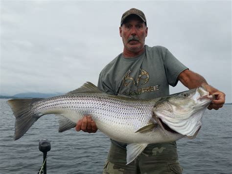 Fishing in LAKE TEXOMA: The Complete Guide