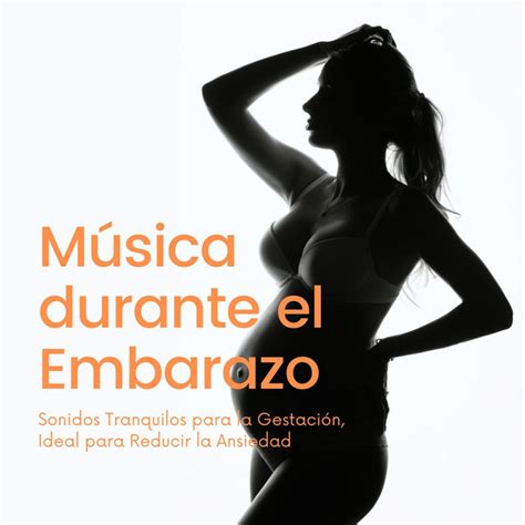 Música durante el Embarazo Sonidos Tranquilos para la Gestación Ideal