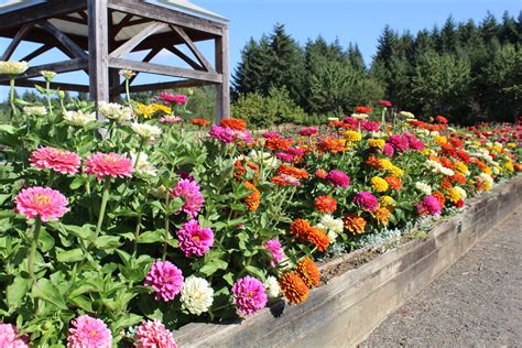 The Oregon Garden — Portland Parks Foundation