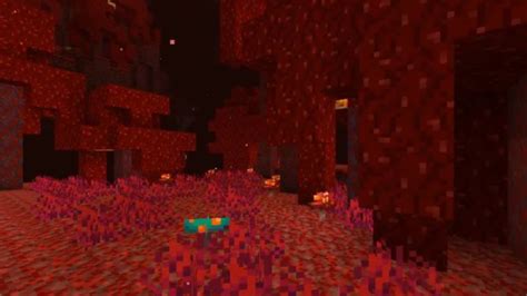 Minecraft Nether Update 1.16: the latest Minecraft update brings new ...