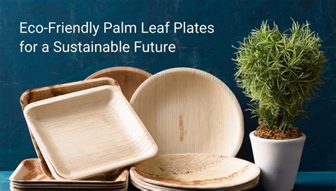 Sustainable Dining Solutions With Eco Friendly Palm Leaf Plates