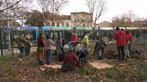 Une For T Nourrici Re En Cours De Plantation Au Coeur De Montpellier