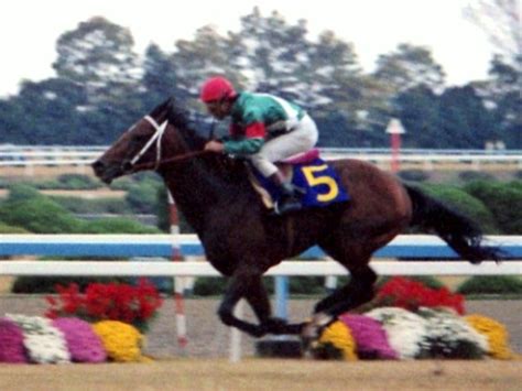 史上初 無敗の三冠馬誕生 シンボリルドルフ 84年菊花賞symboli Rudolf Turfdust