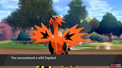 Galarian Zapdos At The Wild Area Walkthrough The Crown Tundra DLC