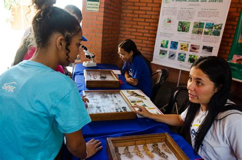 Dia Mundial Do Brincar Portal Da Educa O Sesc Rj