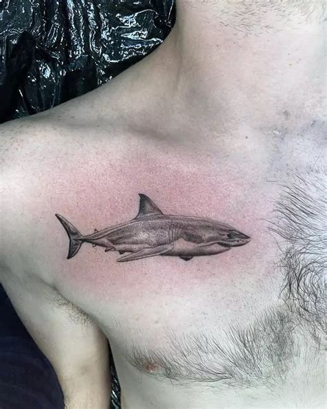 70 Magnificent Shark Tattoos For Men And Women in 2024