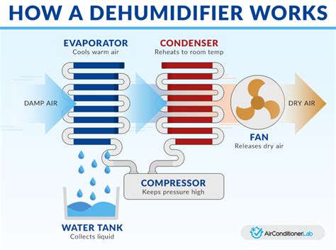 Learn How A Dehumidifier Can Help Clear Dust From The Air