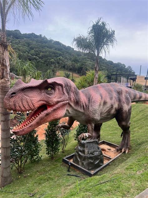 Animais Que Rugem Maior Parque De Dinossauros Toma Forma Em