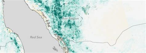 Conditions Favorable For Rift Valley Fever Outbreak In Arabian