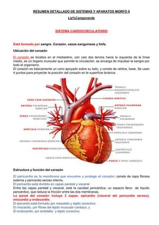 Resumen De Morfo Ii Completo Pdf