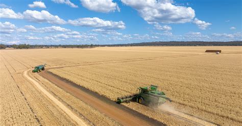 Boundary Farms Boundary Farms 468 Oleary Road Ellangowan Qld