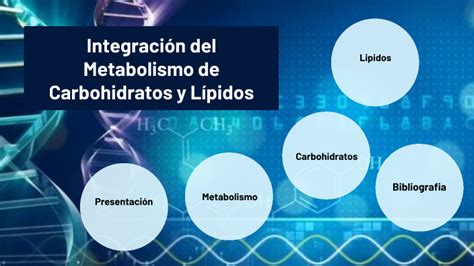 Integración del metabolismo de carbohidratos y lípidos UBBJ by Luis