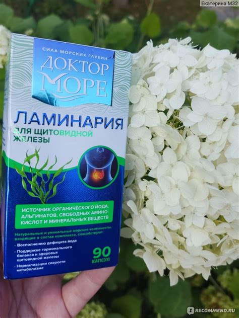 БАД Доктор Море Ламинария японская сушеная - «Поддержать щитовидную ...