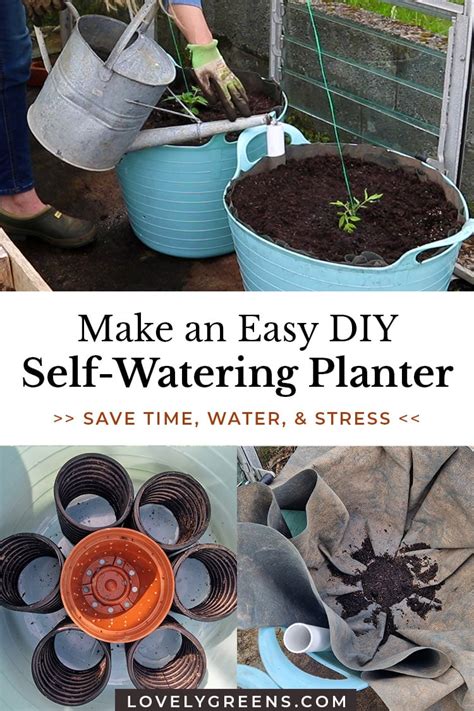 DIY Self-Watering Planter (Step-by-Step Instructions) • Lovely Greens