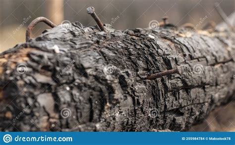 Close Up Of Burnt Log For Use As Background Metall Details On The