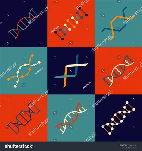 Dna Deoxyribonucleic Acid Nucleic Acids Double Stock Vector Royalty Free 2236761707 Shutterstock