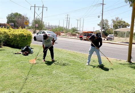 Municipio Contrata Personal Para Mantenimiento Y Mejora De Espacios