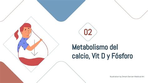 Metabolismo Del Calcio F Sforo Y Vitamina D Alejandro Udocz