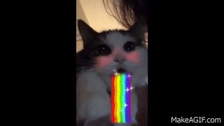 Cute Cat Vomiting A Rainbow on Make a GIF