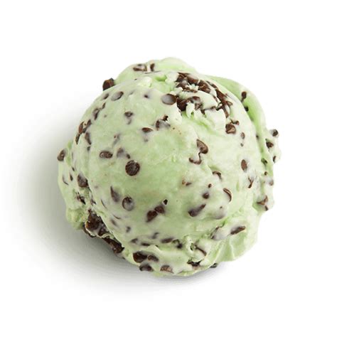 Mint Chocolate Chip Ice Cream : Best Mint Chocolate Chip Ice Cream