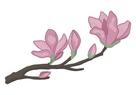 Magnolia blühende zweig doodle frühlingszeit baumzweig clipart cartoon