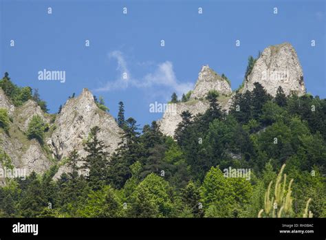 Mountains Three Crowns Trzy Korony Is Polish Pieniny National Park