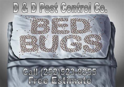 Where Do Bed Bugs Hide D D Pest Control Co