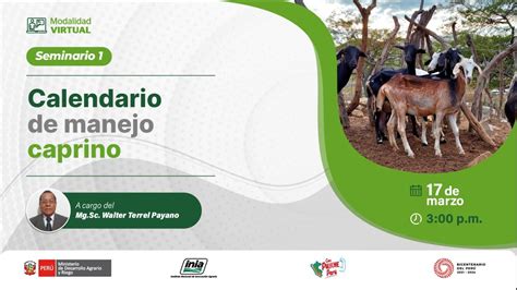 Calendario De Manejo Caprino Youtube