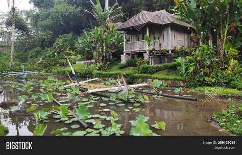 Bali Traditional House Image & Photo (Free Trial) | Bigstock