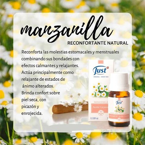 Aceite Esencial Manzanilla Ml Producto Original Just Mundo Natural