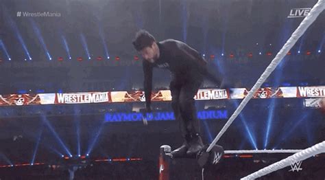 Bad Bunny Wrestlemania GIFs Get The Best On GIPHY