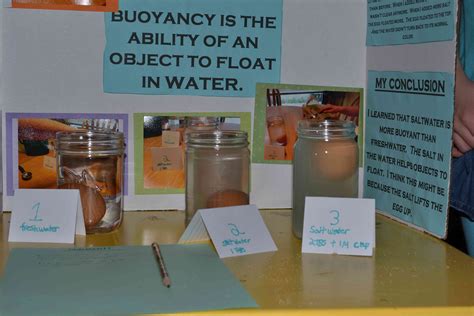 Science Fair Project Make An Egg Float