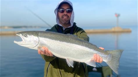 BIG Lake Michigan Skamania Steelhead Drag Screamers Greatlakes