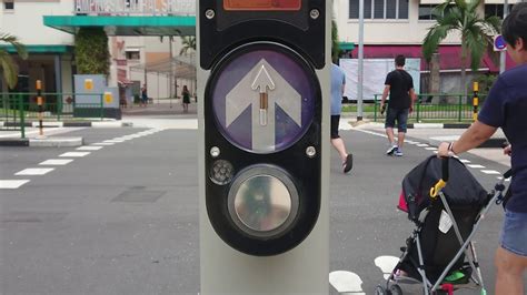 Australian And Irish Style Pedestrian Crossing Button Sound At Tampines