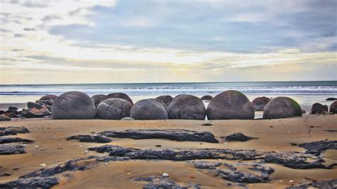 Moeraki Boulders Holiday Park Hampden Beach Accommodation In Waitaki