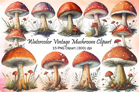 Watercolor Vintage Mushroom Clipart Graphic by Creative Art · Creative ...