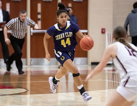 Meet PennLive’s Mid-Penn girls basketball all-tournament team and MVP ...