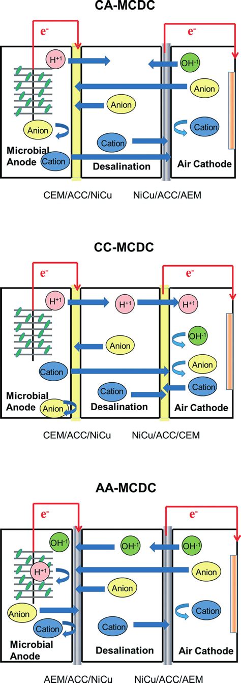 schematic diagram   ca mcdc cc mcdc  aamcdc reactor