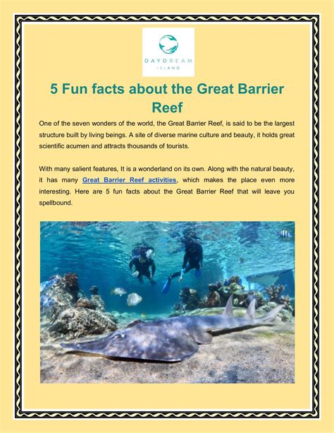 5 Fun Facts About The Great Barrier Reef Converted Daydreamisland10