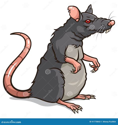 Rat Stock Illustrations Vectors And Clipart 48929 Stock Illustrations