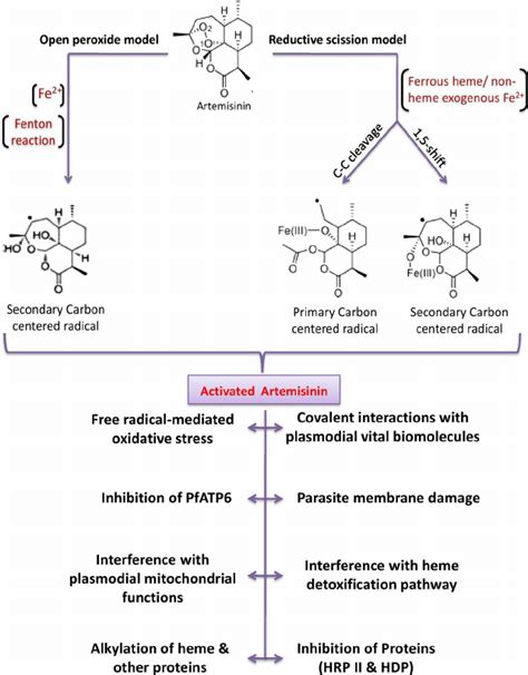 Different Antimalarial Modes Of Action Of Artemisinin Download