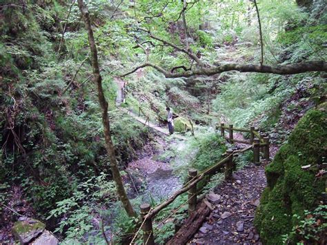 梅ヶ島を楽しむ 安倍の大滝 Do 湯 農 梅ヶ島