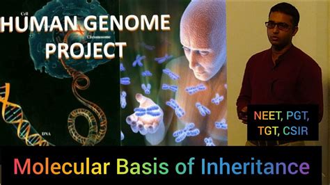 Molecular Basis Of Inheritance Human Genome Project For Neet Csir Pgt And Class 12 Youtube