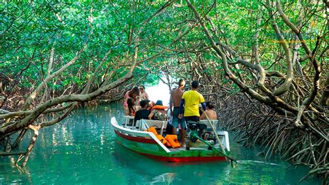 Praia De Icara De Amontada No Cear Passeios Fortaleza Viagens E Turismo