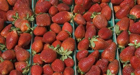 Ag Farmers Market Strawberries Local Strawberries Are Star Flickr