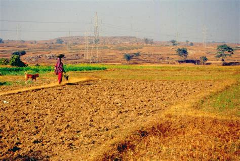 Climate Resilient Agriculture Systems The Way Ahead