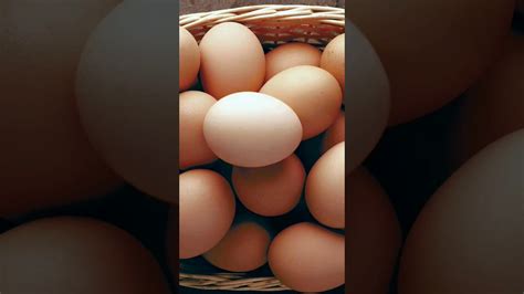 Benefits Of Eggs🥚 Shorts Viral Health Ytshort Benefits Trending